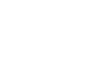 Nov Organizasyon